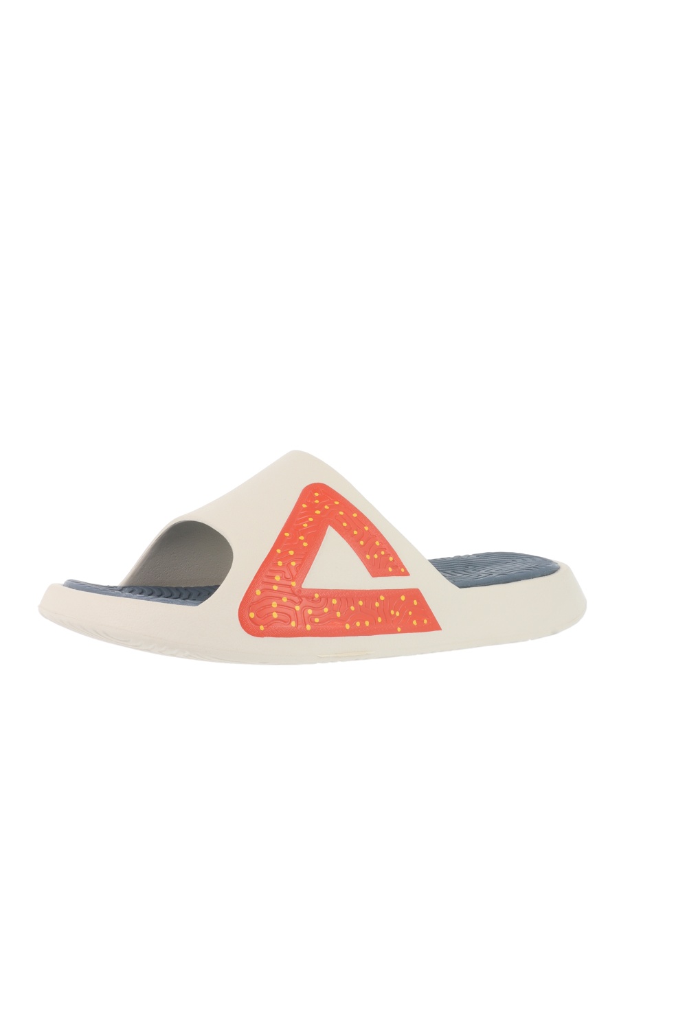 PEAK TaiChi Slipper