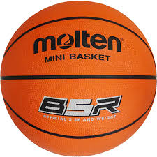 Molten Basketball B5R